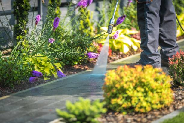 Best Driveway Pressure Washing  in Pixley, CA